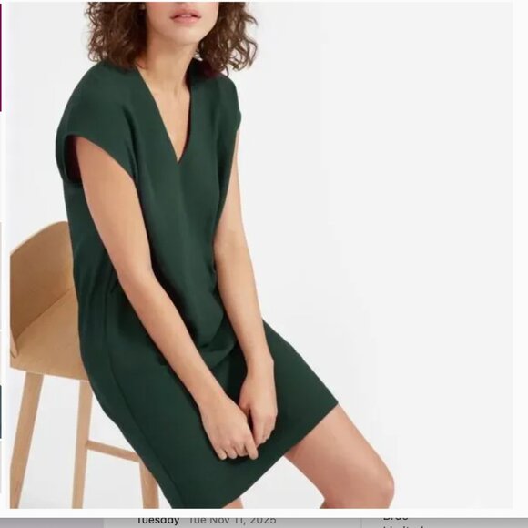 Everlane The Japanese GoWeave V-Neck Cocoon Dress in Green - Picture 1 of 9